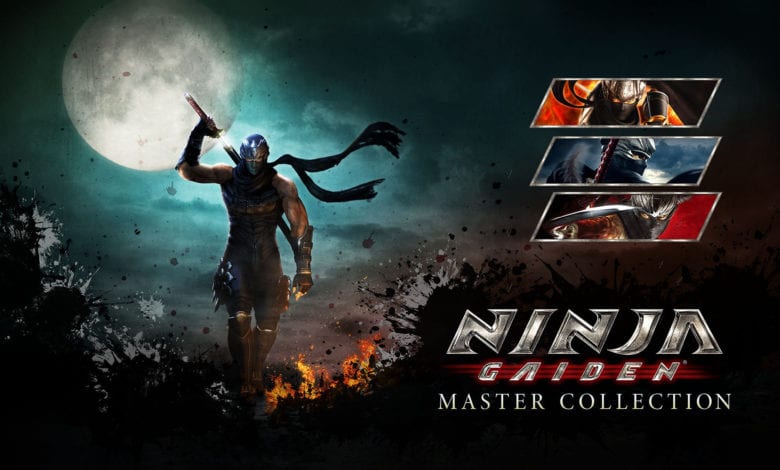 Ninja Gaiden boxart