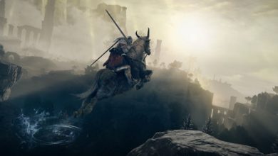 Elden Ring speedrun