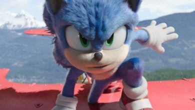 Sonic the hedgehog