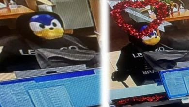 Sonic bank robbery header.