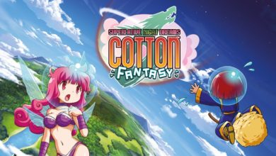 Cotton Fantasy logo with Silk and Cotton on the cover