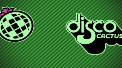 DiscoCactus header