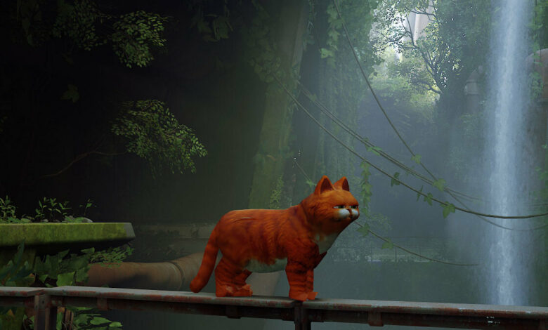 Garfield in Stray