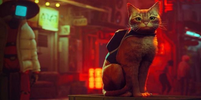 Stray physical edition header