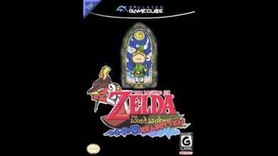 Wind Waker Rewritten logo with Link looking up at the sky